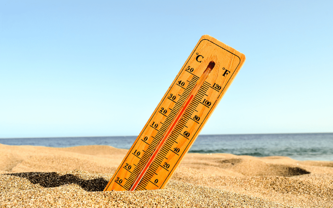 ANTICIPER ET COMBATTRE LES VAGUES DE CHALEUR ET LES ÉPISODES DE CANICULE
